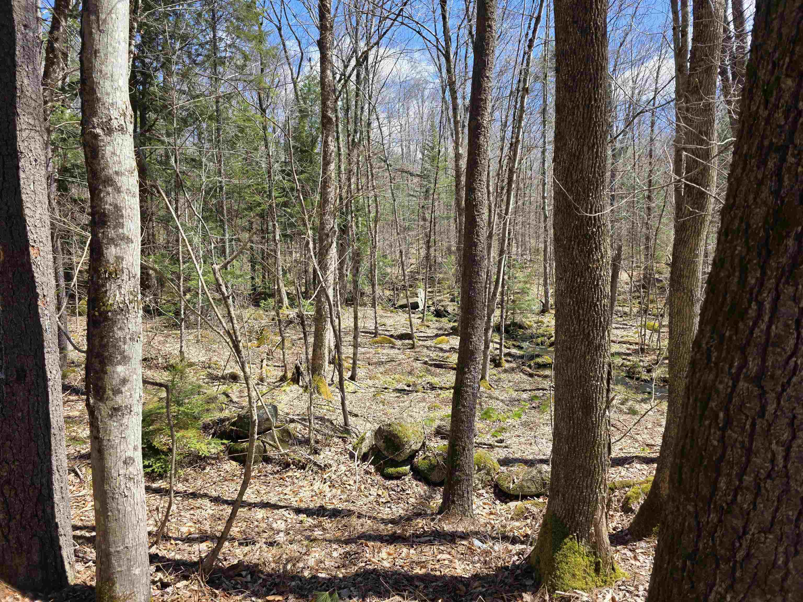 0 Mansfield Road Marlow, NH 03456 - Photo 3 of 12