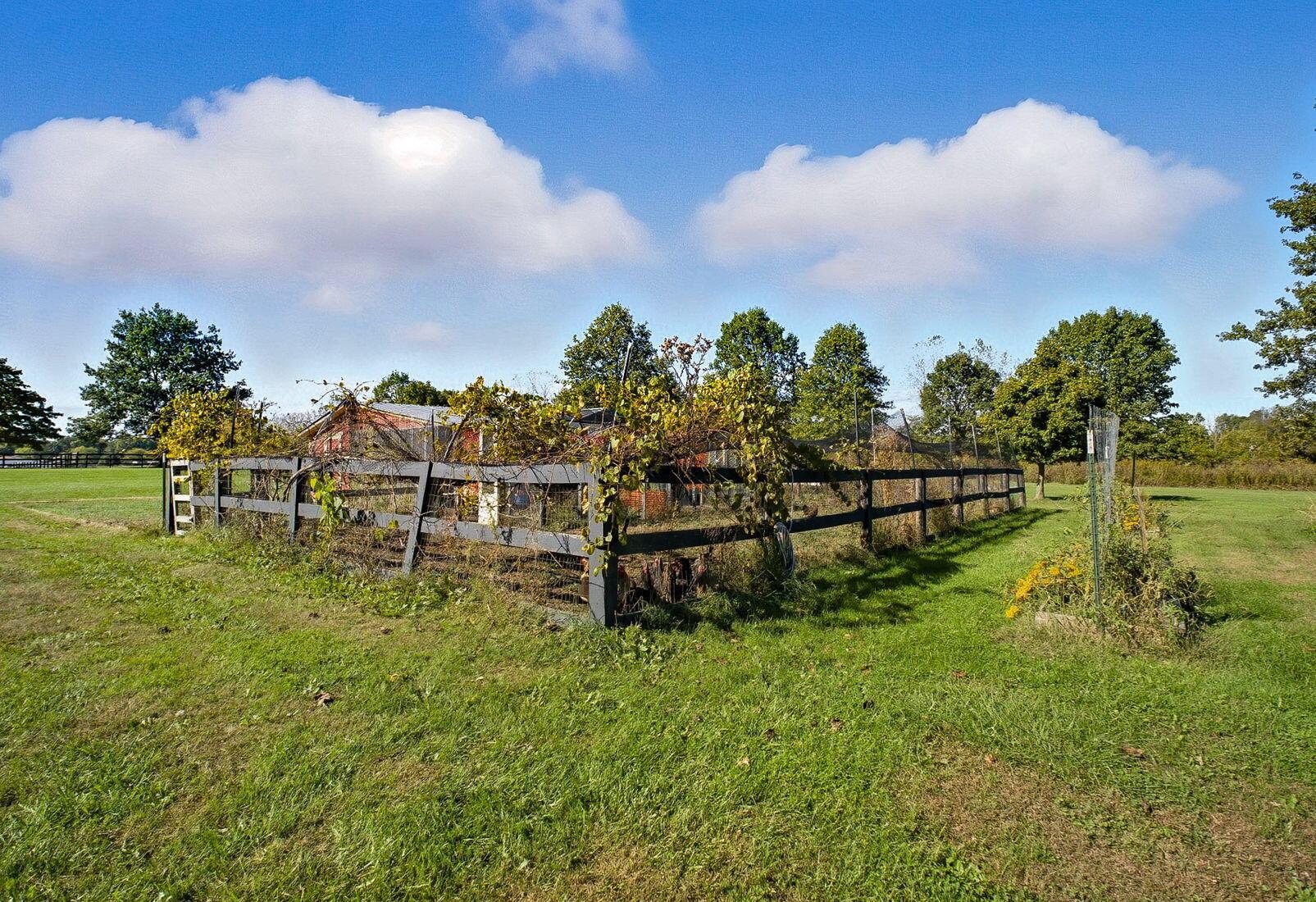 16971 Meredith State Road Sunbury, OH 43074 - Photo 84 of 96 6-web-or-mls-Brad Marquis - 16971 Meredi