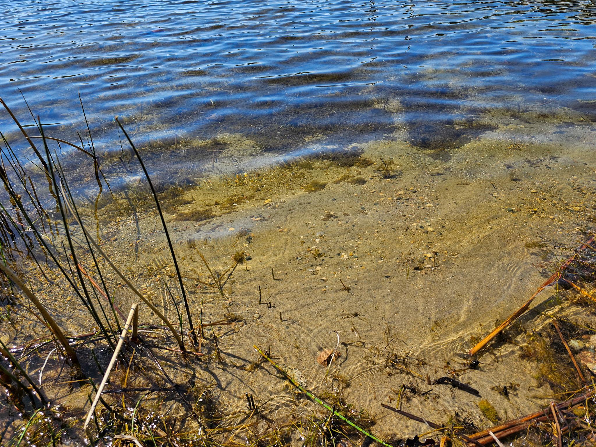 40289 Aerovilla Road Perham, MN 56573 - Photo 38 of 50