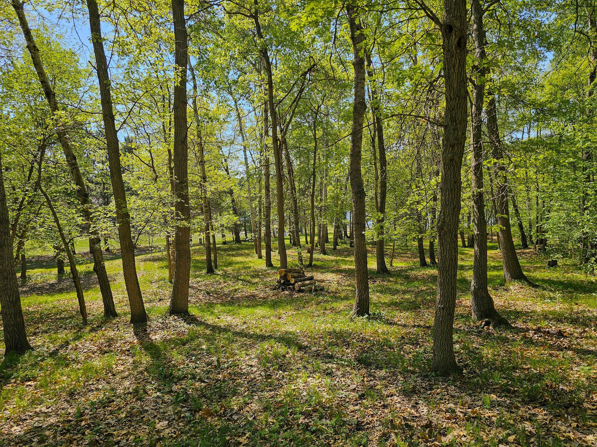 40289 Aerovilla Road Perham, MN 56573 - Photo 41 of 50