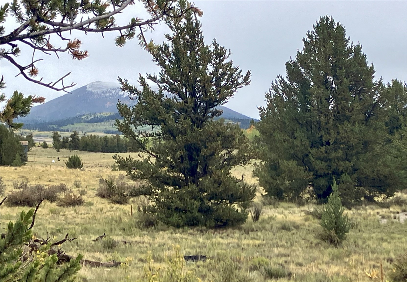 1344 Silver Heels Road Fairplay, CO 80440 - Photo 6 of 35