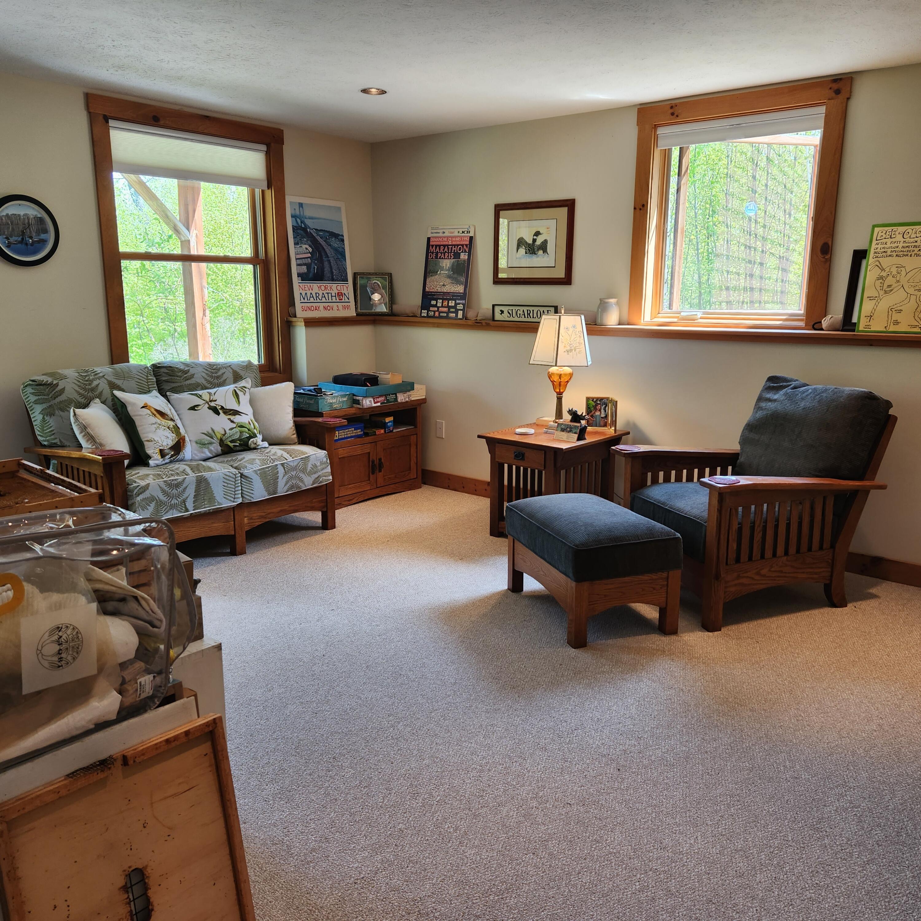 70 Stevens Road Stoneham, ME 04231 - Photo 34 of 47 Lower Level rm