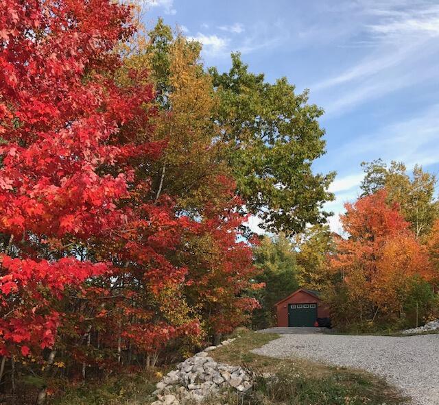 70 Stevens Road Stoneham, ME 04231 - Photo 4 of 47 Fall colors