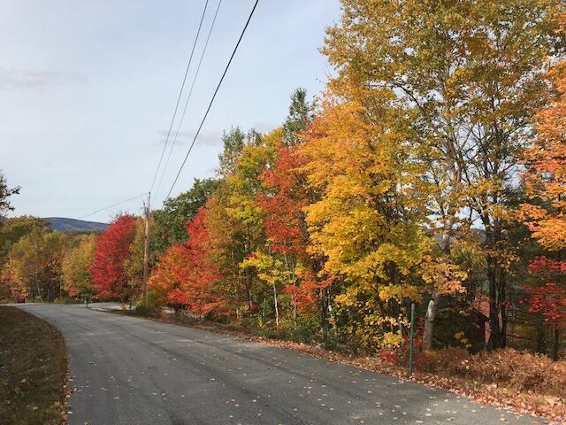 70 Stevens Road Stoneham, ME 04231 - Photo 8 of 47 Harding Hill