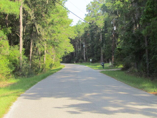 1-e-a Cotton Bay Road Edisto Island, SC 29438 - Photo 8 of 13 IMG_2387
