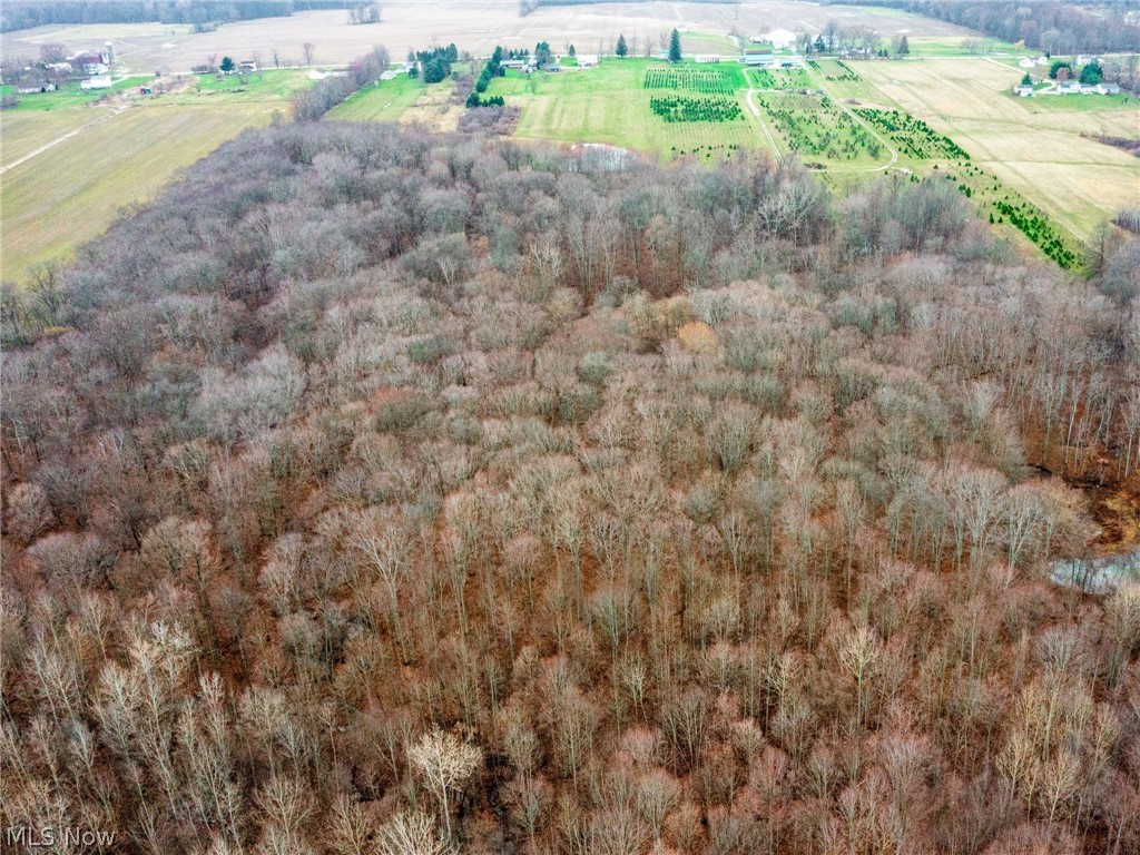 8524 Nichols Road Windham, OH 44288 - Photo 10 of 29 Gallery Image 10