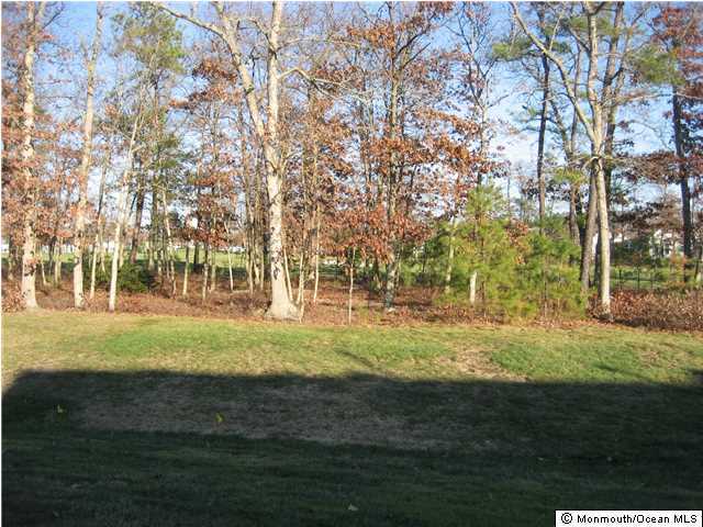 23 Shoal Road Jackson, NJ 08527 - Photo 3 of 21 a view of yard with green space