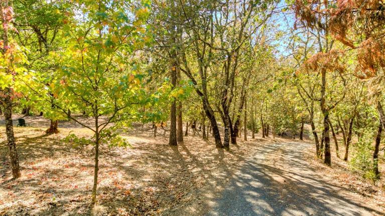 2294 Stringer Gap Road Grants Pass, OR 97527 - Photo 10 of 35 Additional Photo