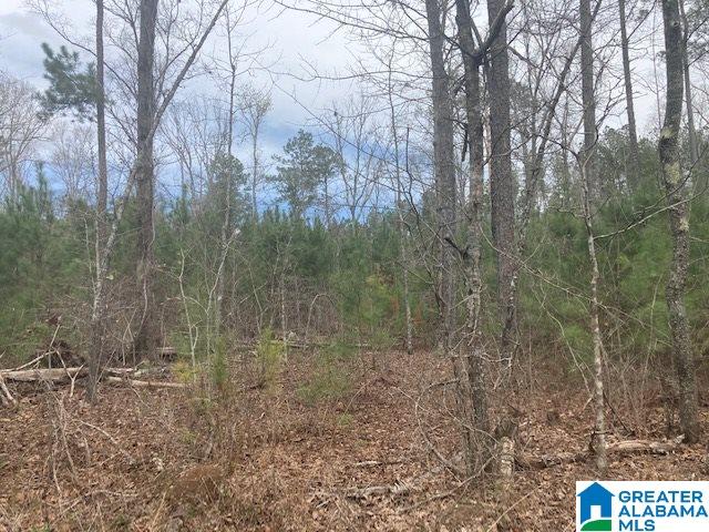 Lambert Road, Unit 9 Cragford, AL 36255 - Photo 3 of 3