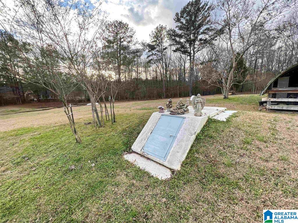 4174 Green Valley Road Gadsden, AL 35907 - Photo 37 of 48