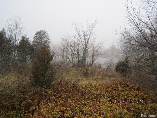 0 North Fenton Road Fenton, MI 48430 - Photo 9 of 14 N Fenton VL (2).JPG