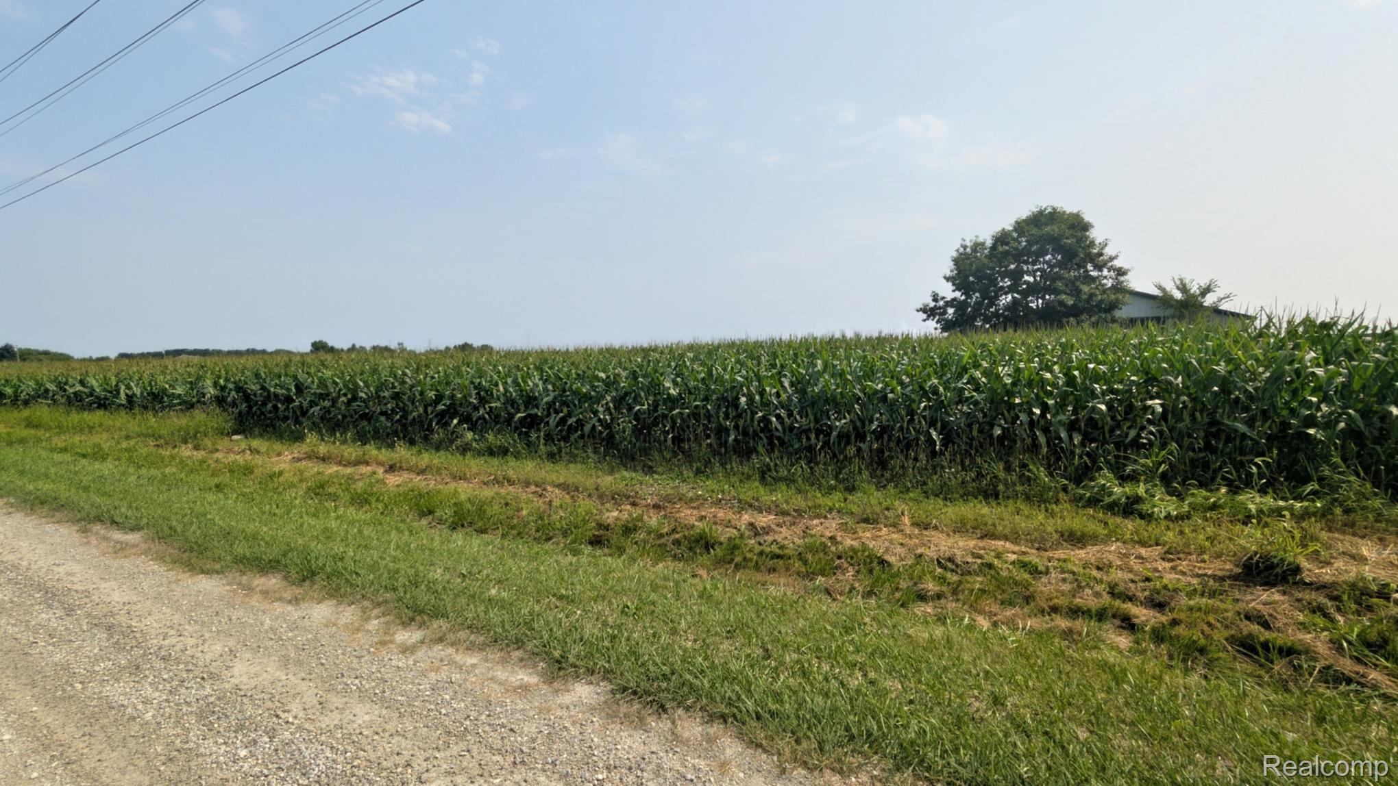 Vl Brown Road Avoca, MI 48006 - Photo 6 of 6 1000006599.jpg