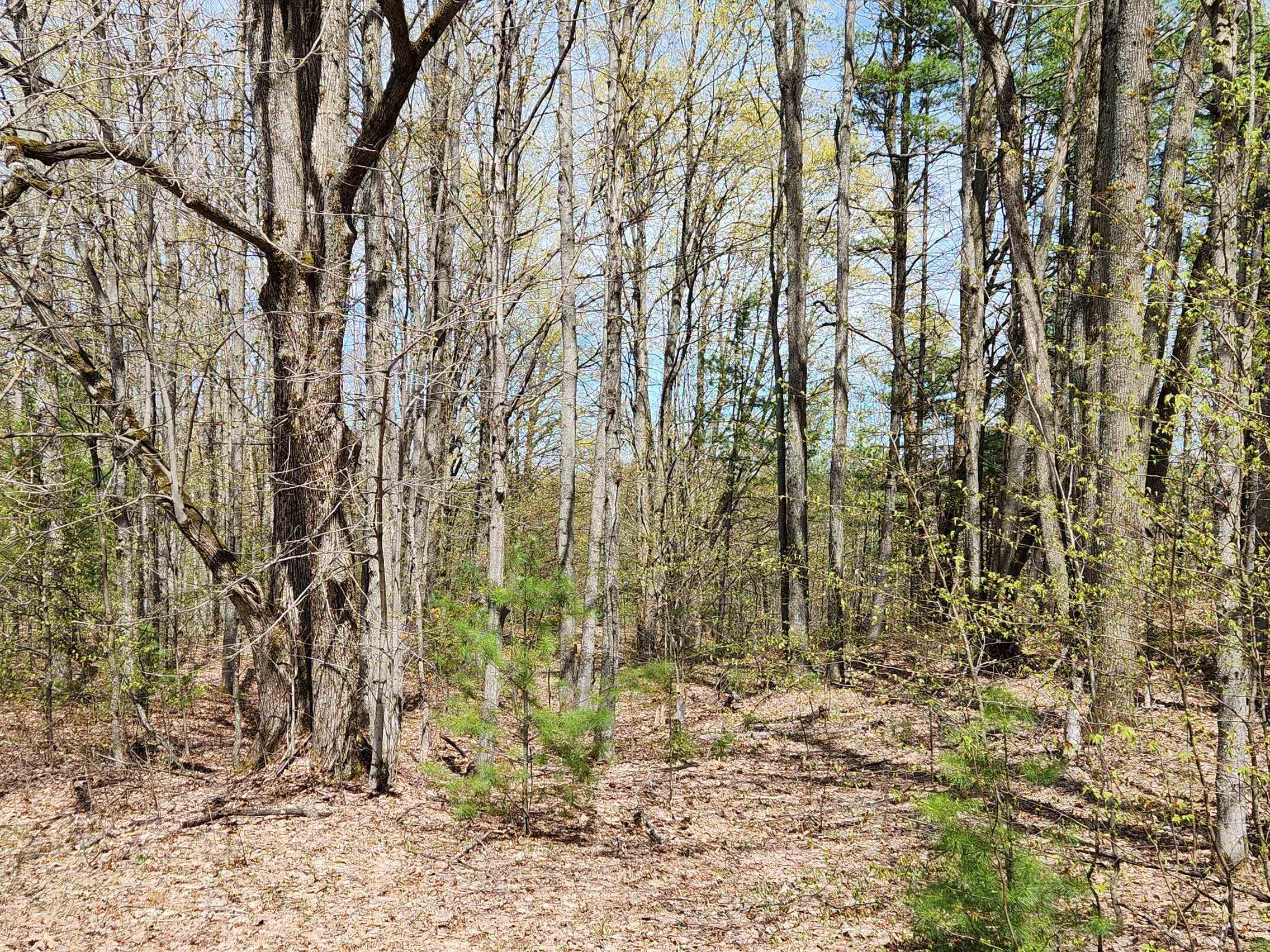 7777 Henschell Road Southwest South Boardman, MI 49680 - Photo 12 of 31