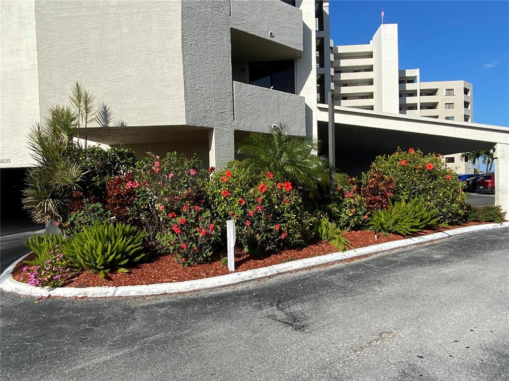 6035 Sea Ranch Drive, Unit 901 Hudson, FL 34667 - Photo 45 of 72 a view of entryway and flowers