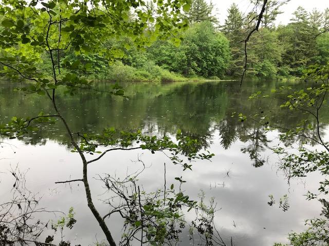 0 Sokokis Road Parsonsfield, ME 04047 - Photo 2 of 9 IMG_1939