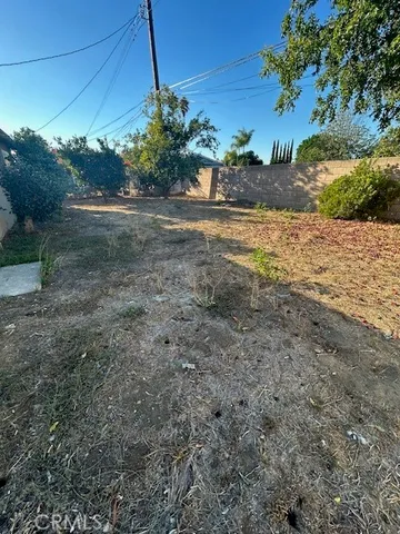 a view of a yard with plants