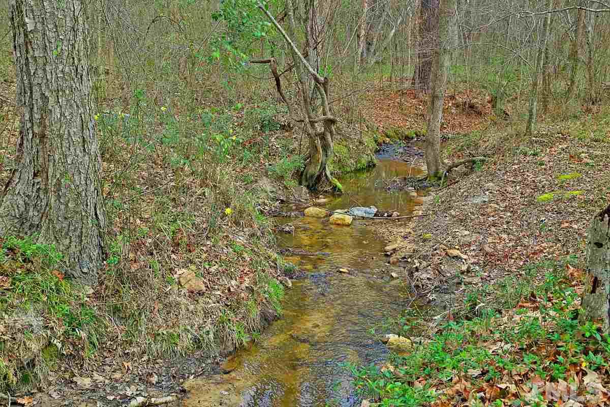 1058 Government Road Clayton, NC 27520 - Photo 7 of 25 Gallery Image 7