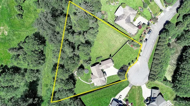 a view of a garden with plants