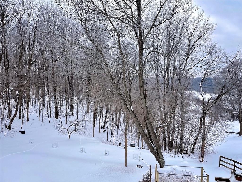 750 Old Millcreek Road Hookstown, PA 15050 - Photo 6 of 44 Treed 2.13 acres.