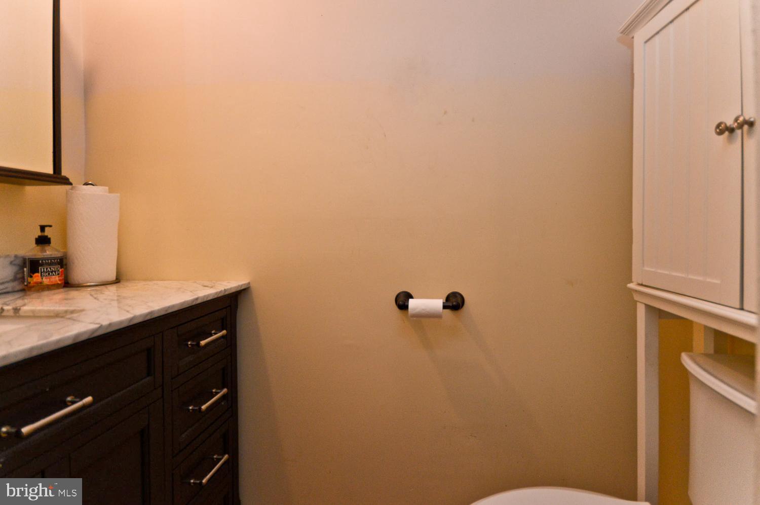 9607 Horizon Run Road, Unit 3D Montgomery Village, MD 20886 - Photo 17 of 30 Updated Half Bath