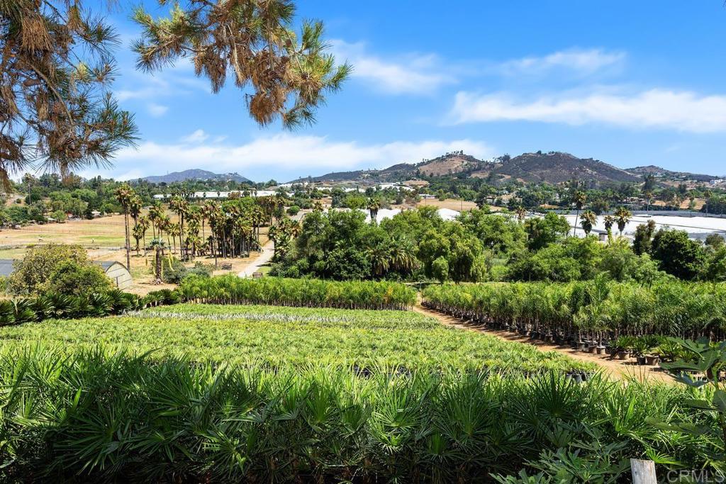 a view of a city with lush green forest