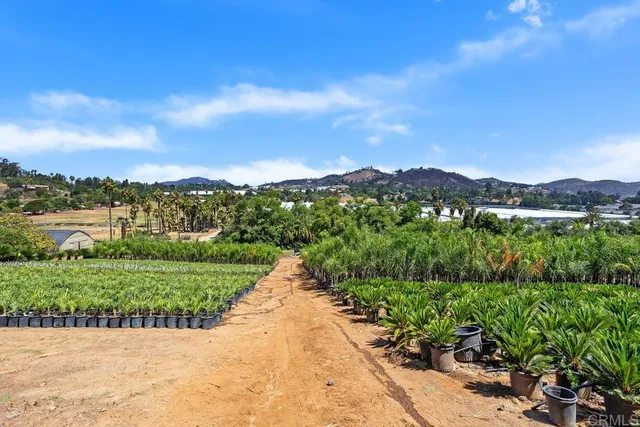 a view of a garden with mountains in the background