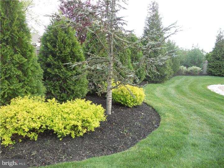 22 Castleton Lane Moorestown, NJ 08057 - Photo 17 of 24 Back Yard