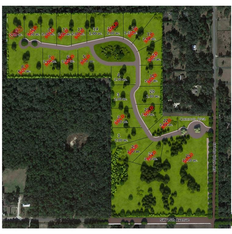 17208 Southwest 11th Court Newberry, FL 32669 - Photo 3 of 6 a view of flowers in a park