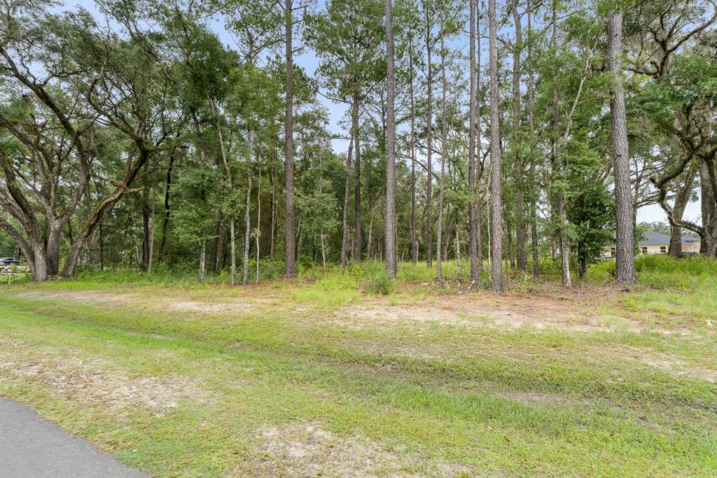 17208 Southwest 11th Court Newberry, FL 32669 - Photo 6 of 6 a view of outdoor space with trees all around
