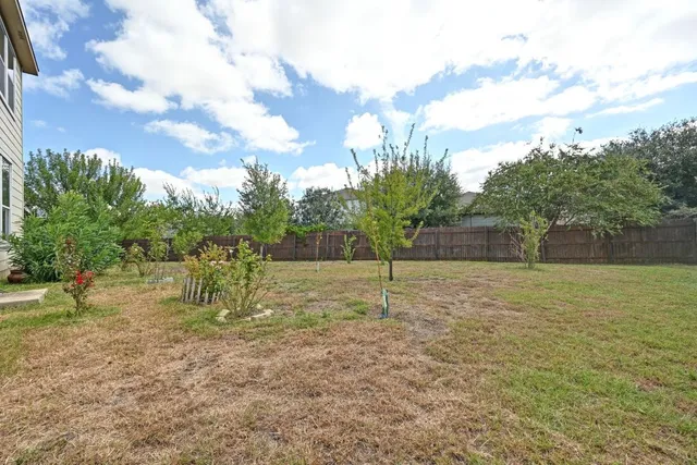 a view of a house with backyard and a tree