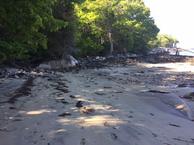 79 Moxie Cove Road Round Pond, ME 04564 - Photo 30 of 35 Beach that this property has a...