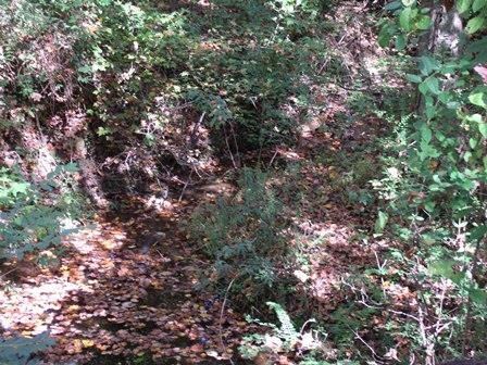 460 Bryant Road Pelzer, SC 29669 - Photo 2 of 4