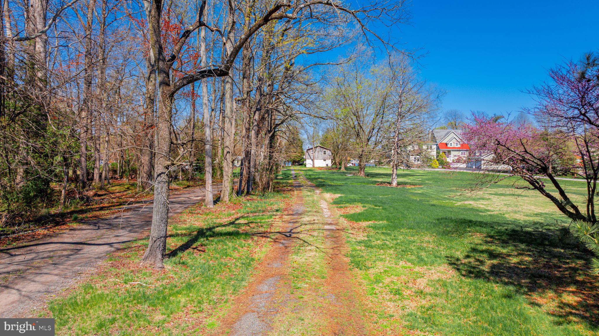 1003 Bowleys Quarters Road Baltimore, MD 21220 - Photo 84 of 96 a view of yard with tree
