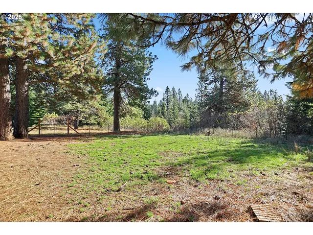 a backyard of a house with lots of green space