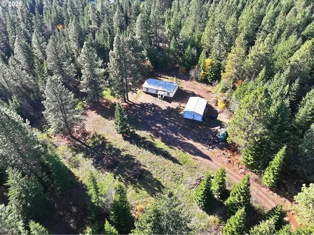 a view of a yard with plants