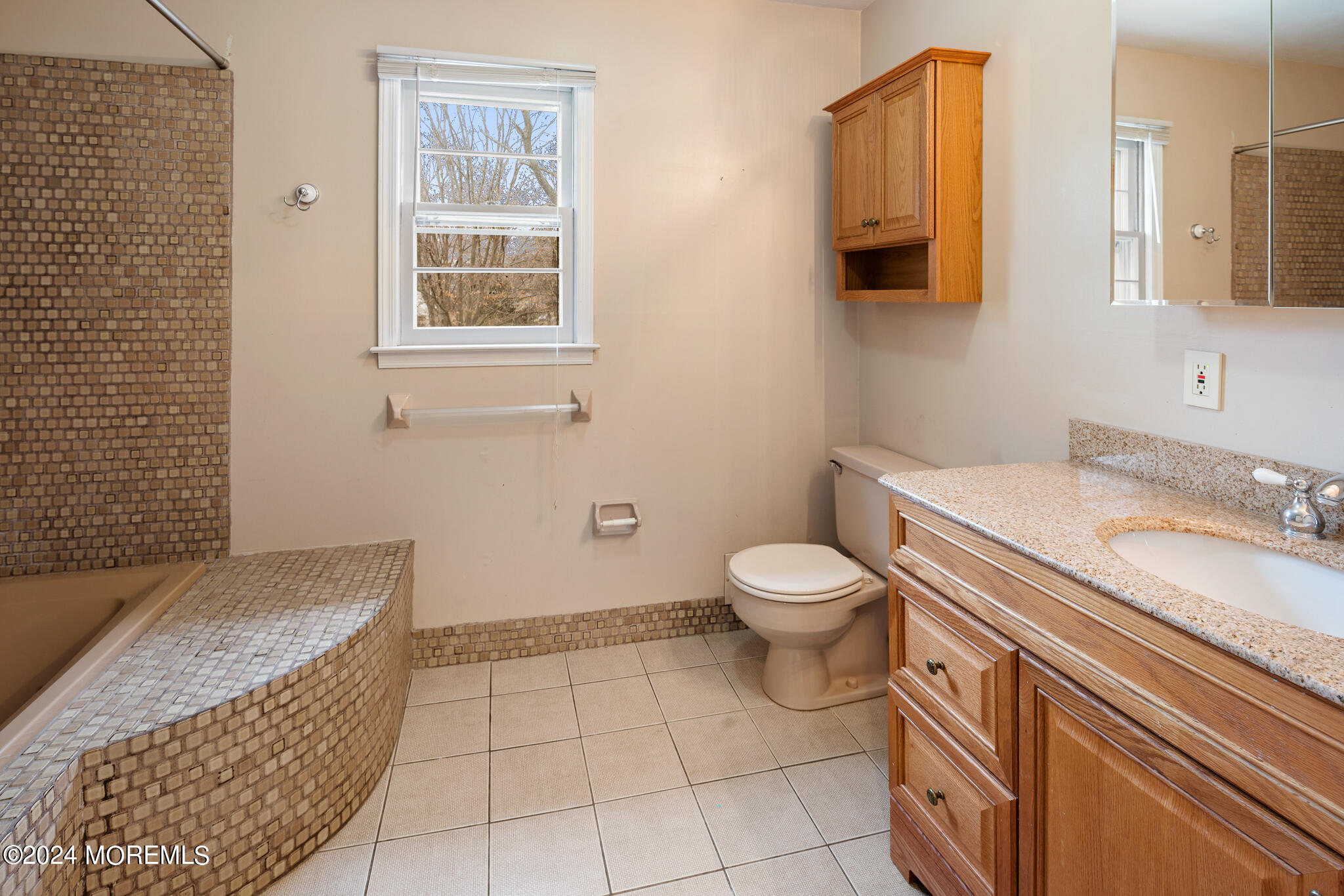 362 Elton Adelphia Road Freehold, NJ 07728 - Photo 25 of 38 a bathroom with a granite countertop sink a toilet and a mirror