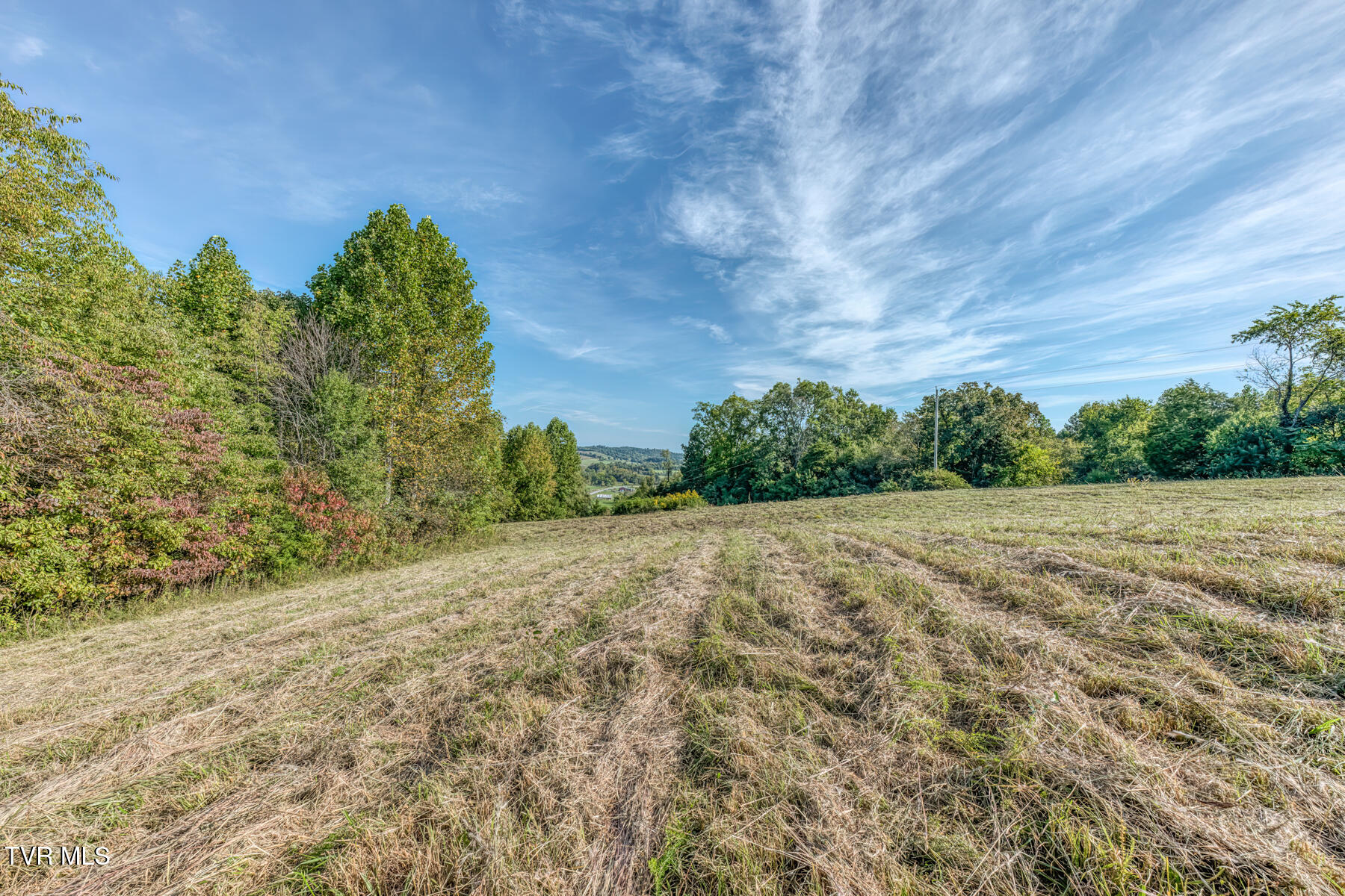 1680 Old Milburnton Road Limestone, TN 37681 - Photo 57 of 62 1680 Old Milburnton Rd-60
