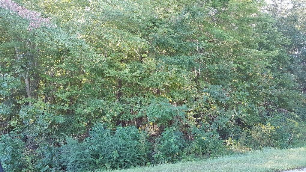 32.92-ac Potter Road Waxhaw, NC 28173 - Photo 1 of 28 Gallery Image 1