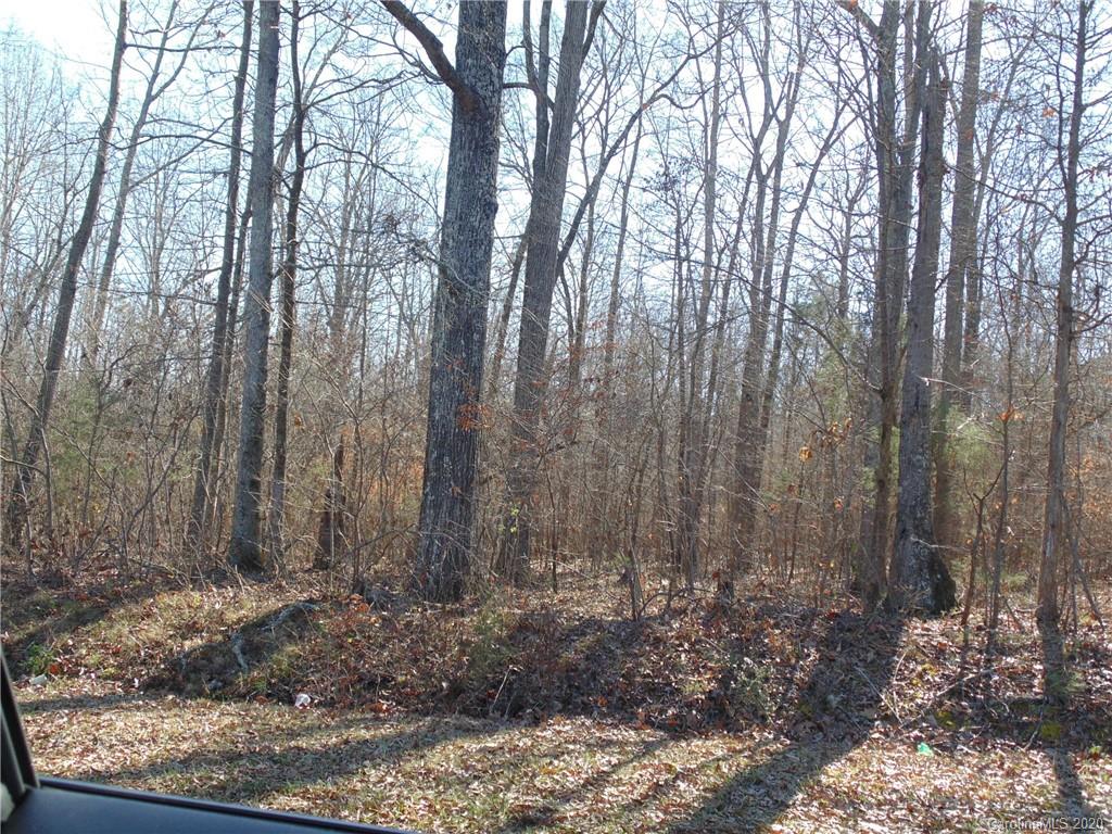 32.92-ac Potter Road Waxhaw, NC 28173 - Photo 13 of 28 Gallery Image 13