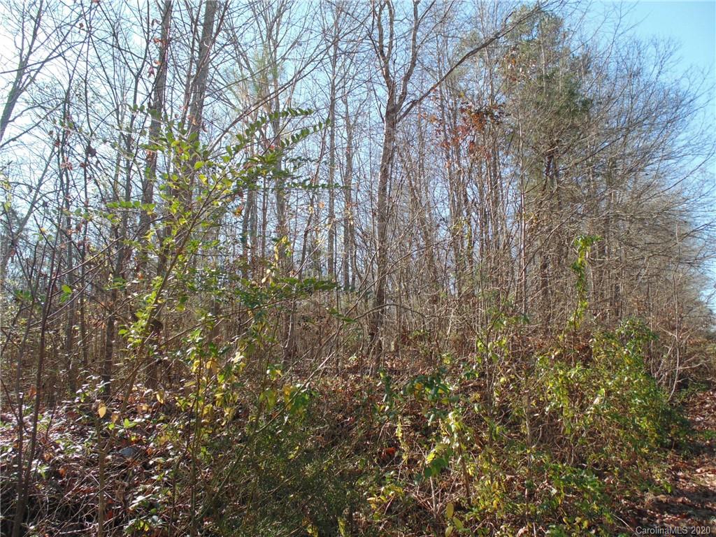 32.92-ac Potter Road Waxhaw, NC 28173 - Photo 15 of 28 Gallery Image 15