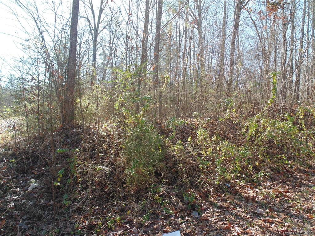 32.92-ac Potter Road Waxhaw, NC 28173 - Photo 16 of 28 Gallery Image 16