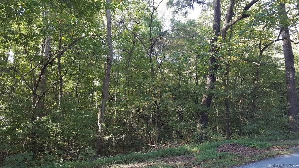 32.92-ac Potter Road Waxhaw, NC 28173 - Photo 19 of 28 Gallery Image 19