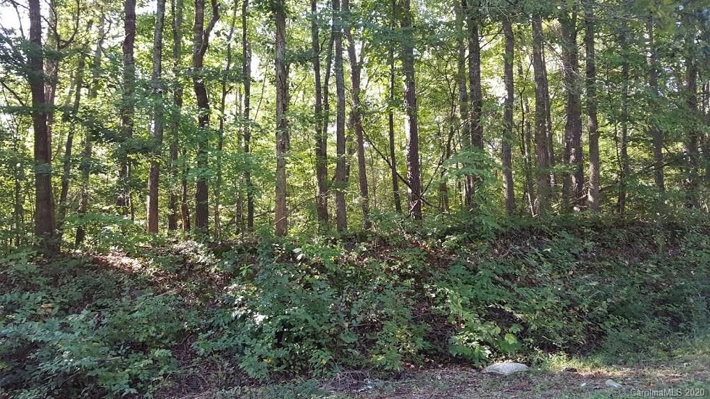 32.92-ac Potter Road Waxhaw, NC 28173 - Photo 21 of 28 Gallery Image 21
