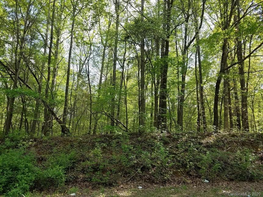 32.92-ac Potter Road Waxhaw, NC 28173 - Photo 23 of 28 Gallery Image 23