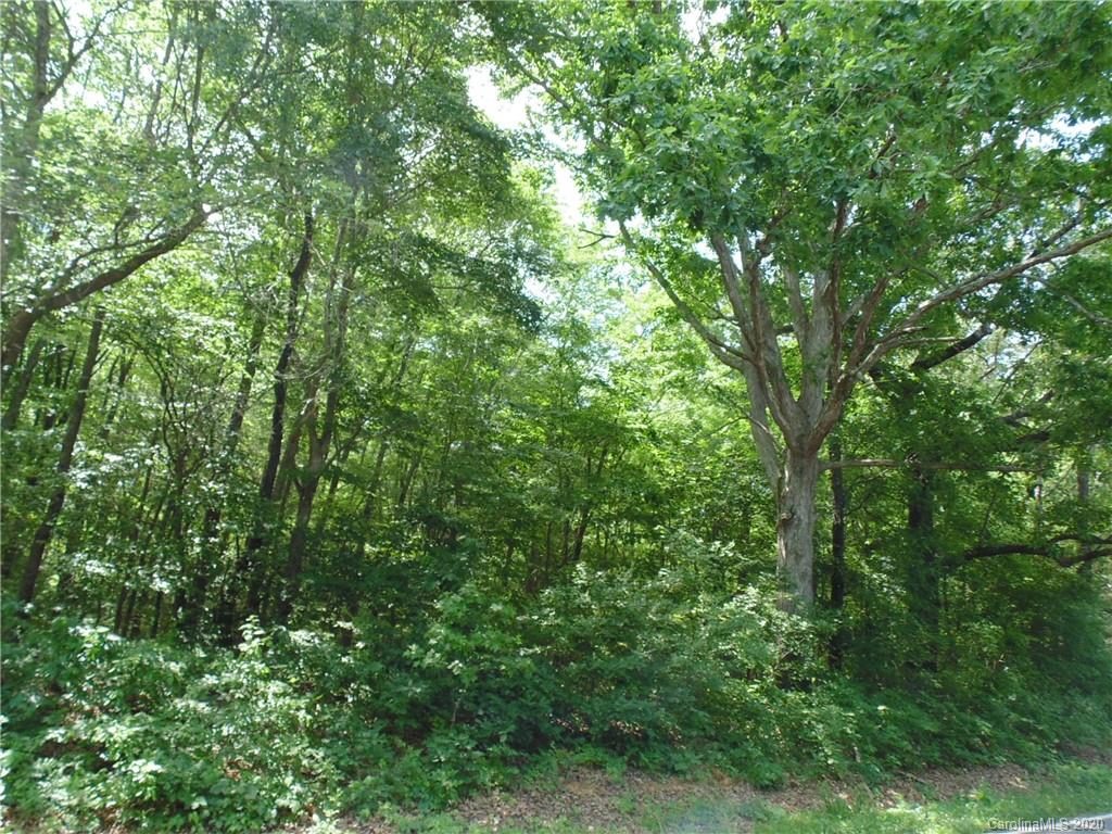 32.92-ac Potter Road Waxhaw, NC 28173 - Photo 7 of 28 Gallery Image 7