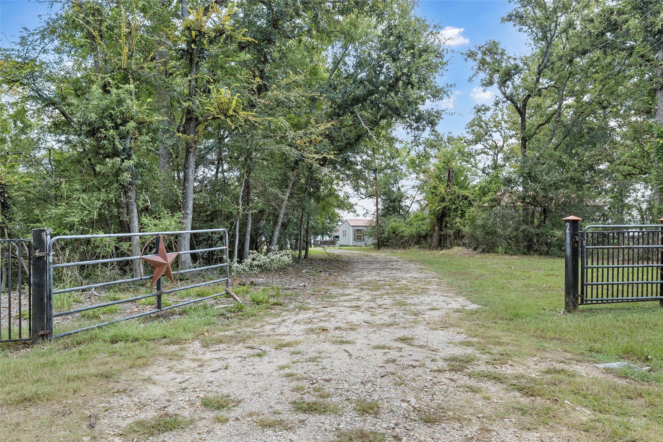 299 Lcr 763 Groesbeck, TX 76642 - Photo 37 of 48