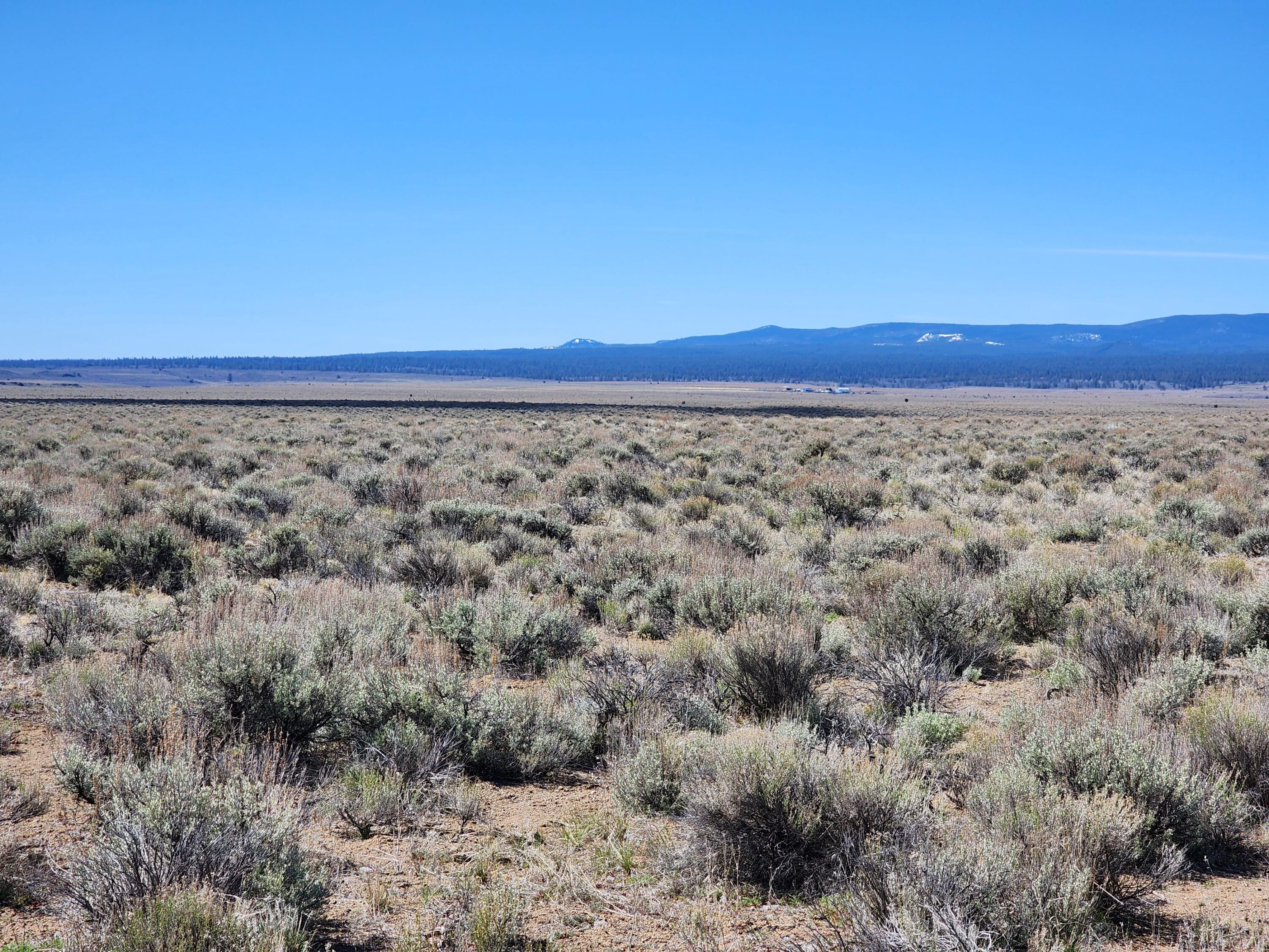 57591 Ft Rock Road Bend, OR 97701 - Photo 8 of 12 20240417_111632