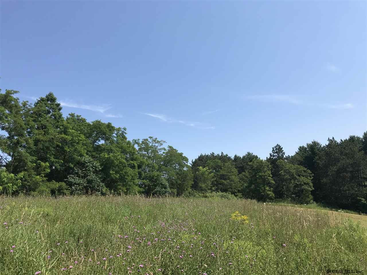 444 Delevan Road Delanson, NY 12053 - Photo 11 of 21 Photo 11