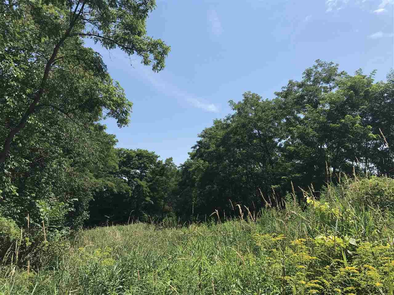 444 Delevan Road Delanson, NY 12053 - Photo 10 of 21 Photo 10