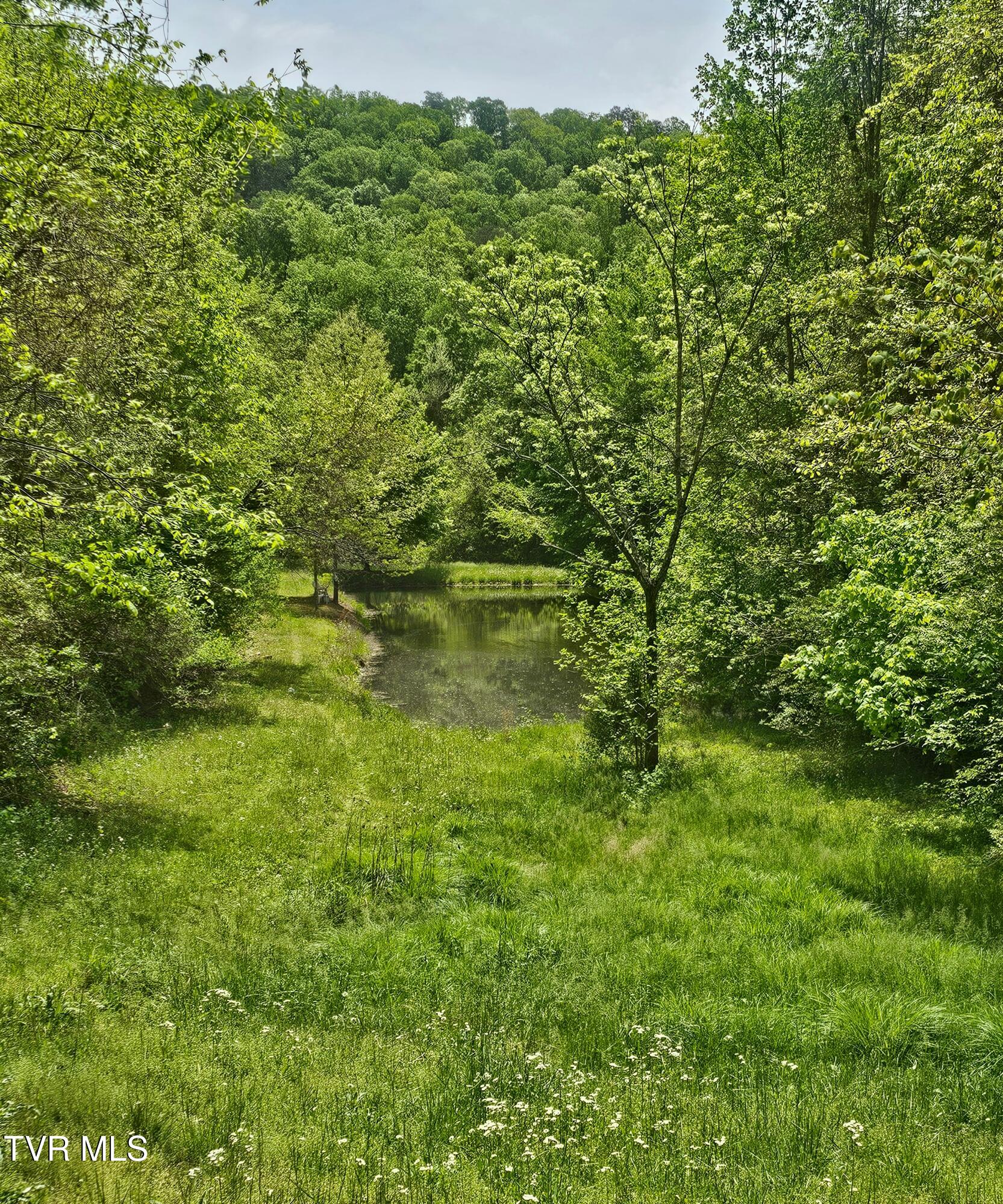 473 Lautner Road Bulls Gap, TN 37711 - Photo 11 of 25 20250425_122850